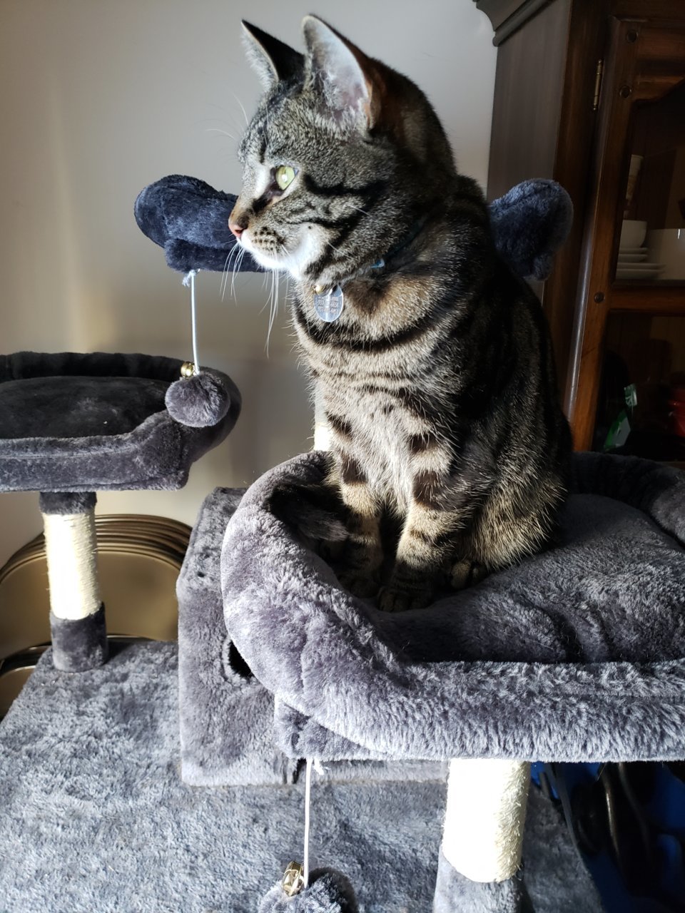 20190221_081255.jpg