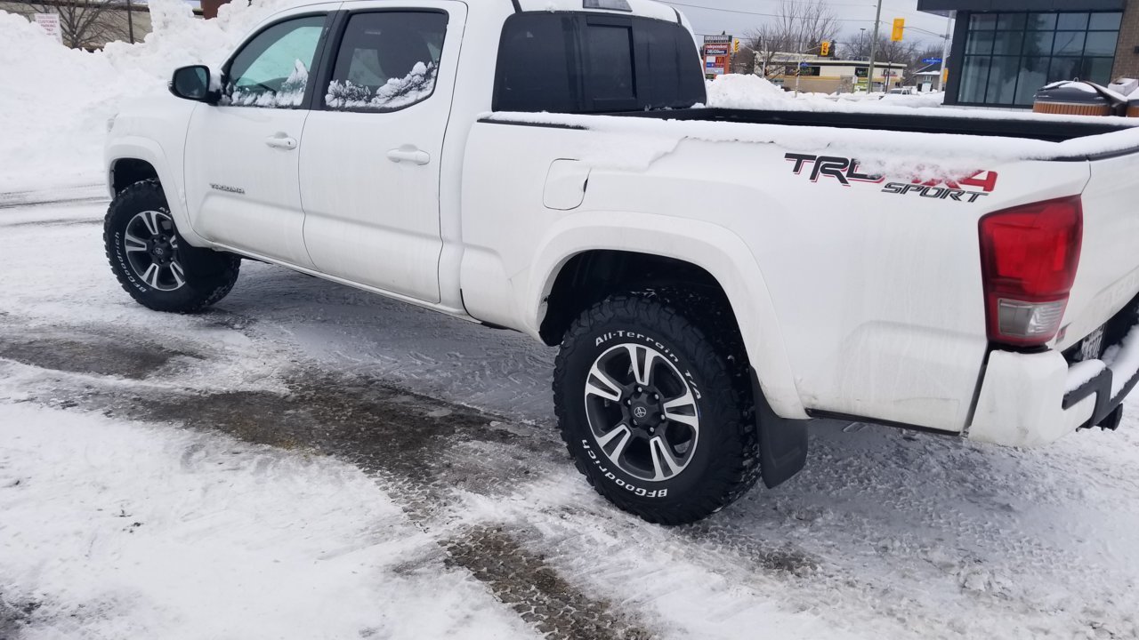 20190221_113216.jpg