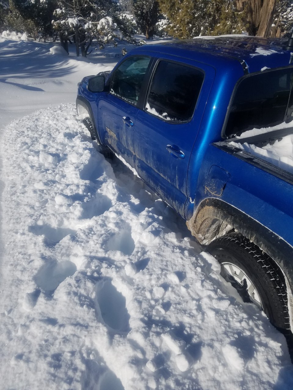 20190223_090000.jpg