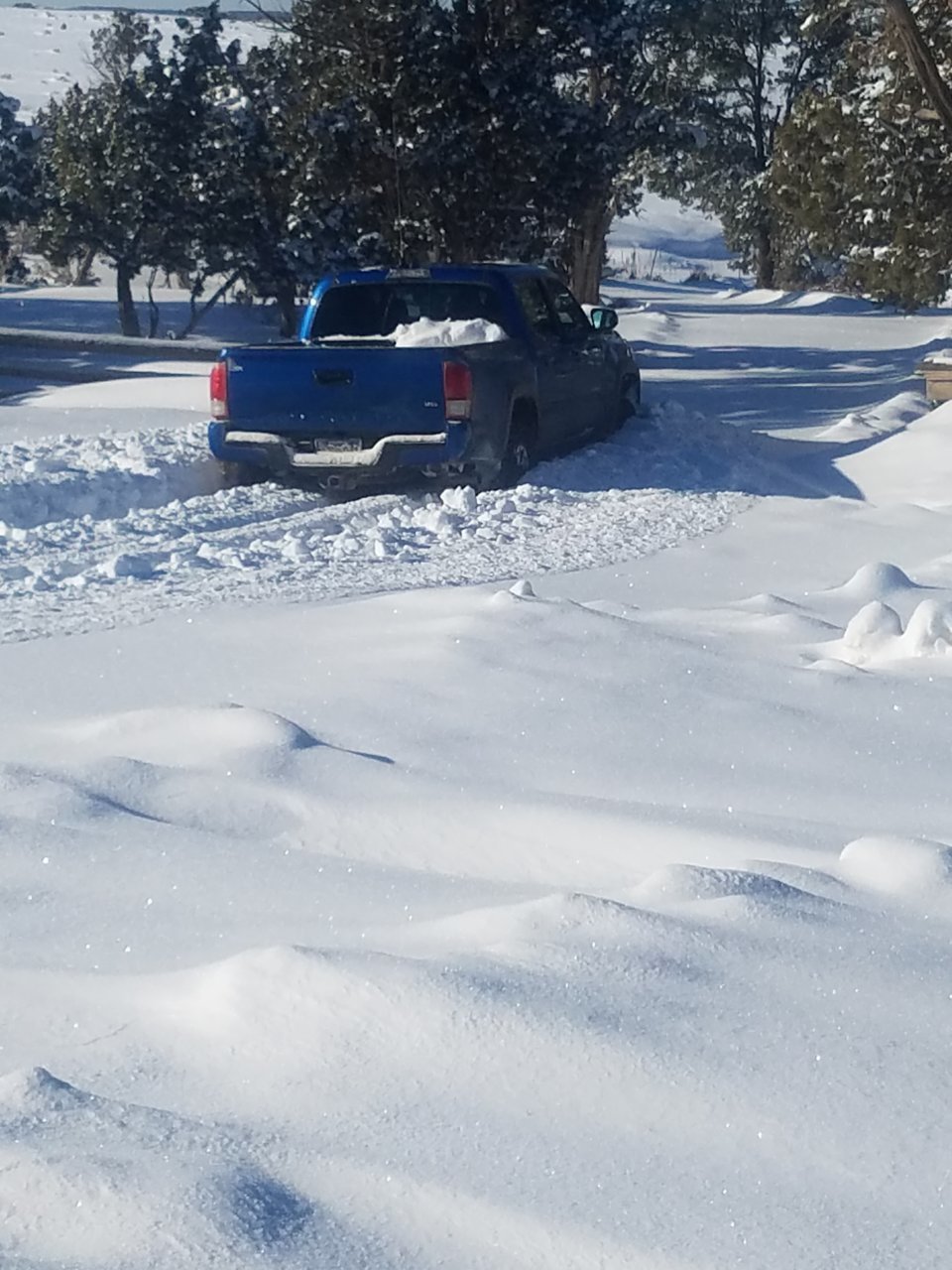 20190223_090039.jpg