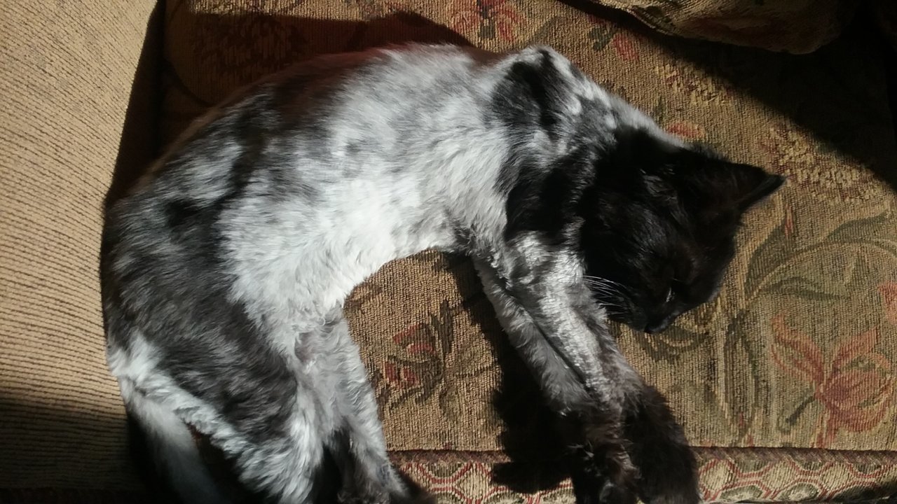 20190223_091822.jpg