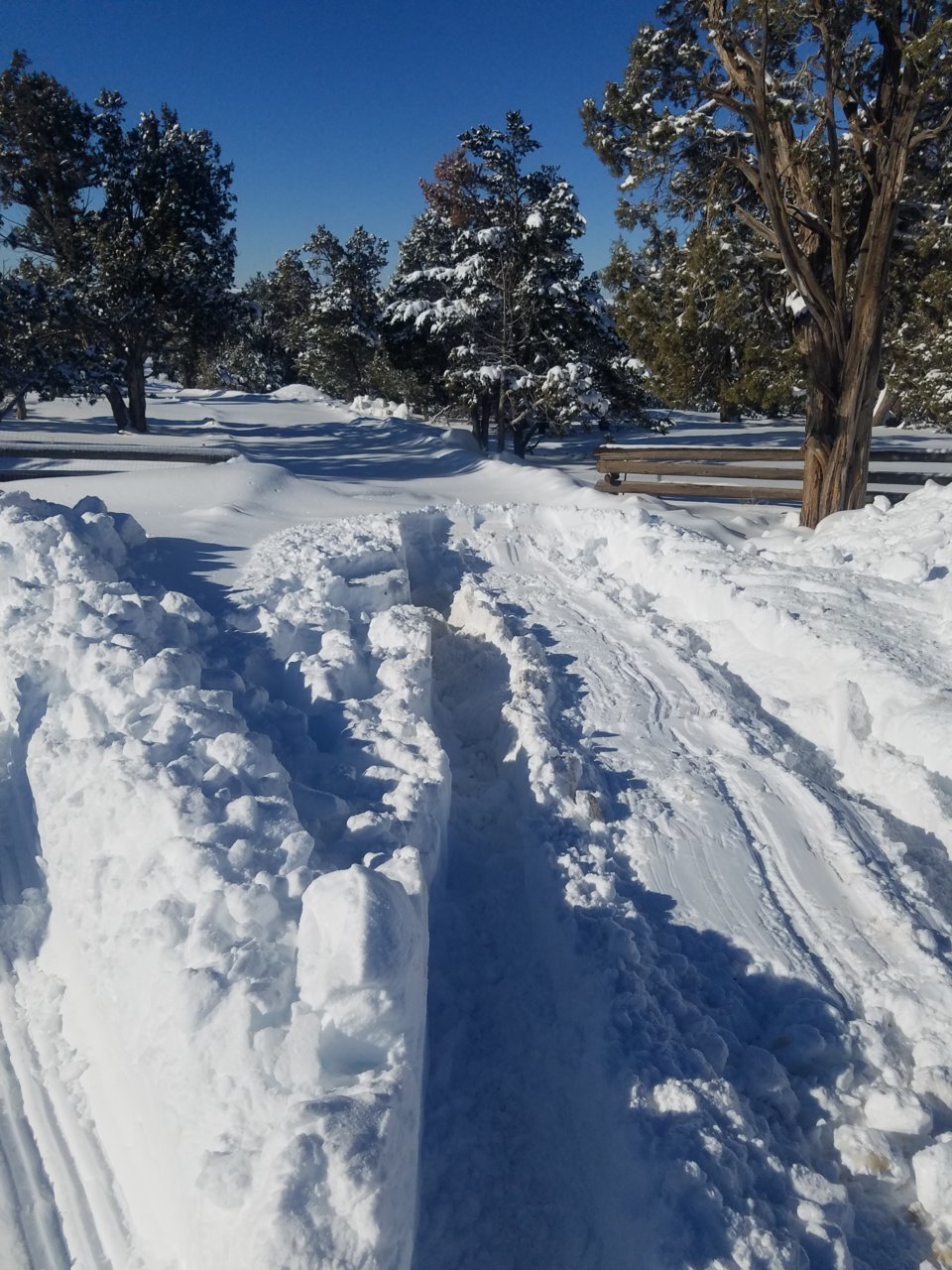 20190223_092324.jpg