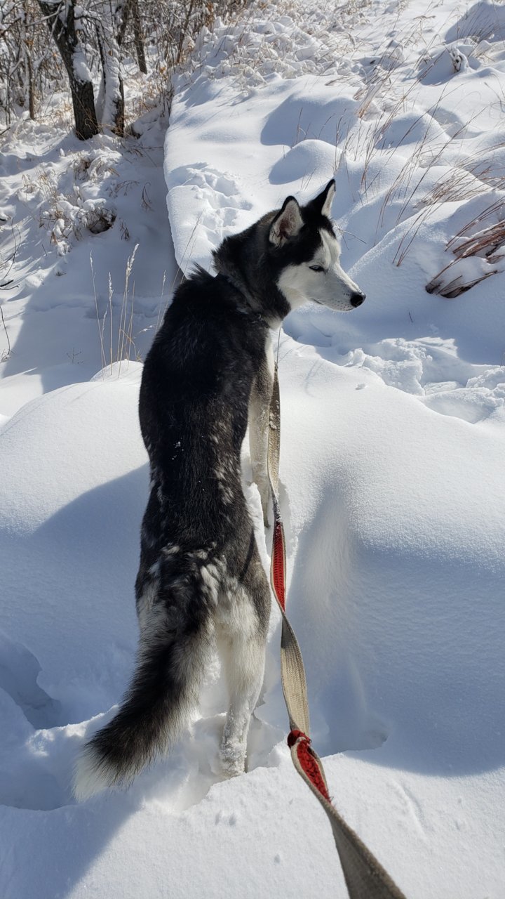 20190223_102114.jpg