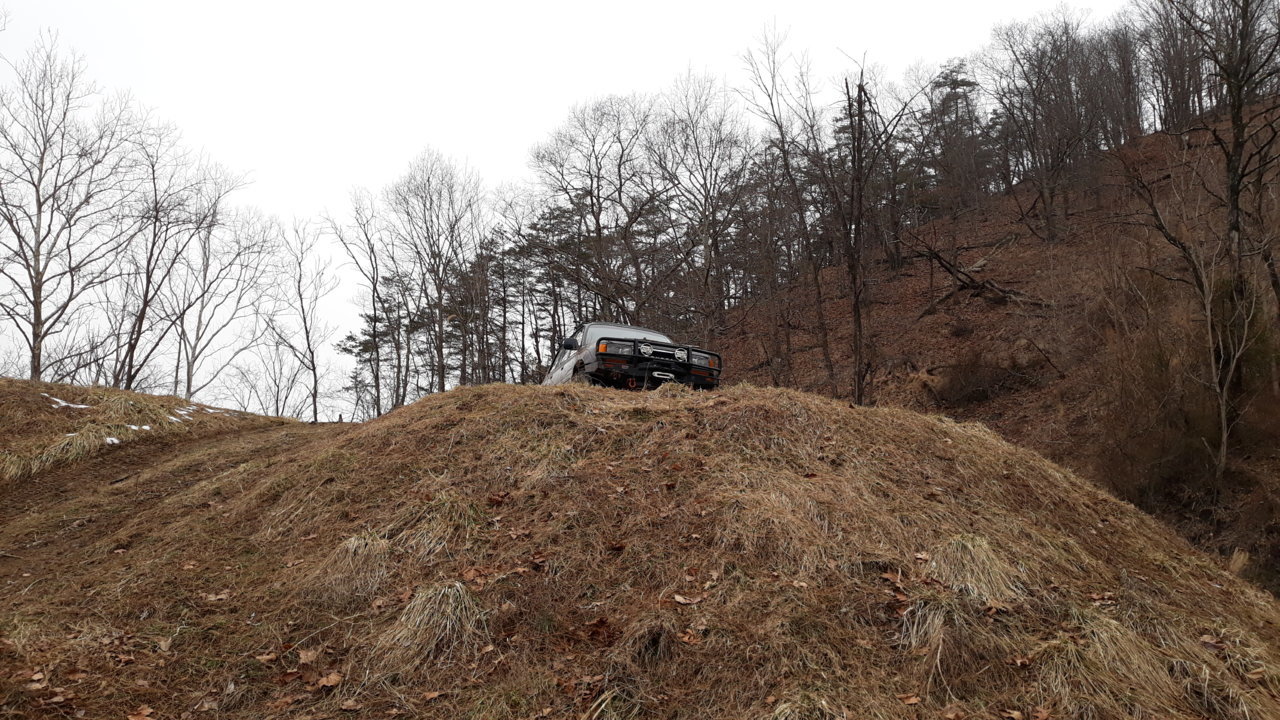 20190223_113137.jpg