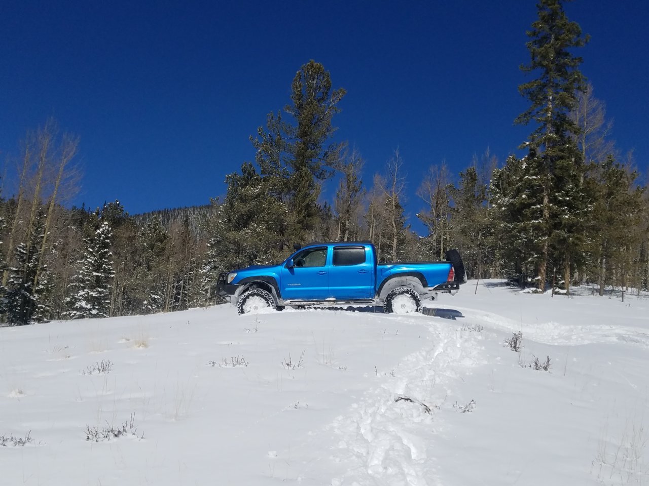 20190223_122522.jpg