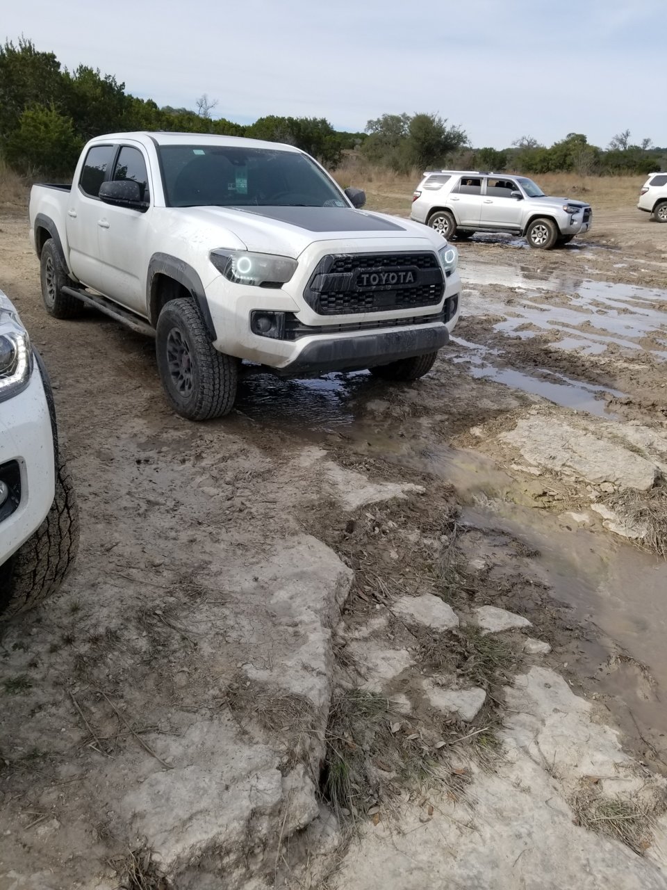 20190223_154133.jpg
