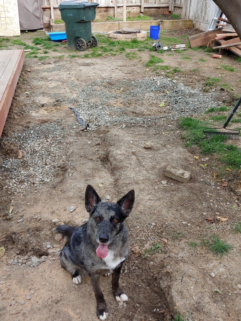 20190223_155322.jpg