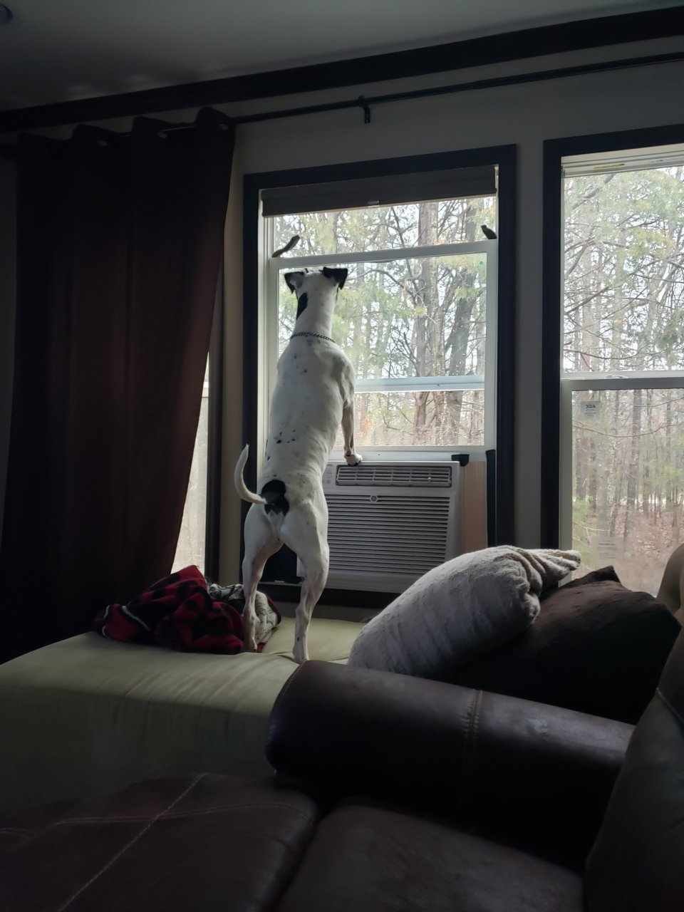 20190223_160708.jpg