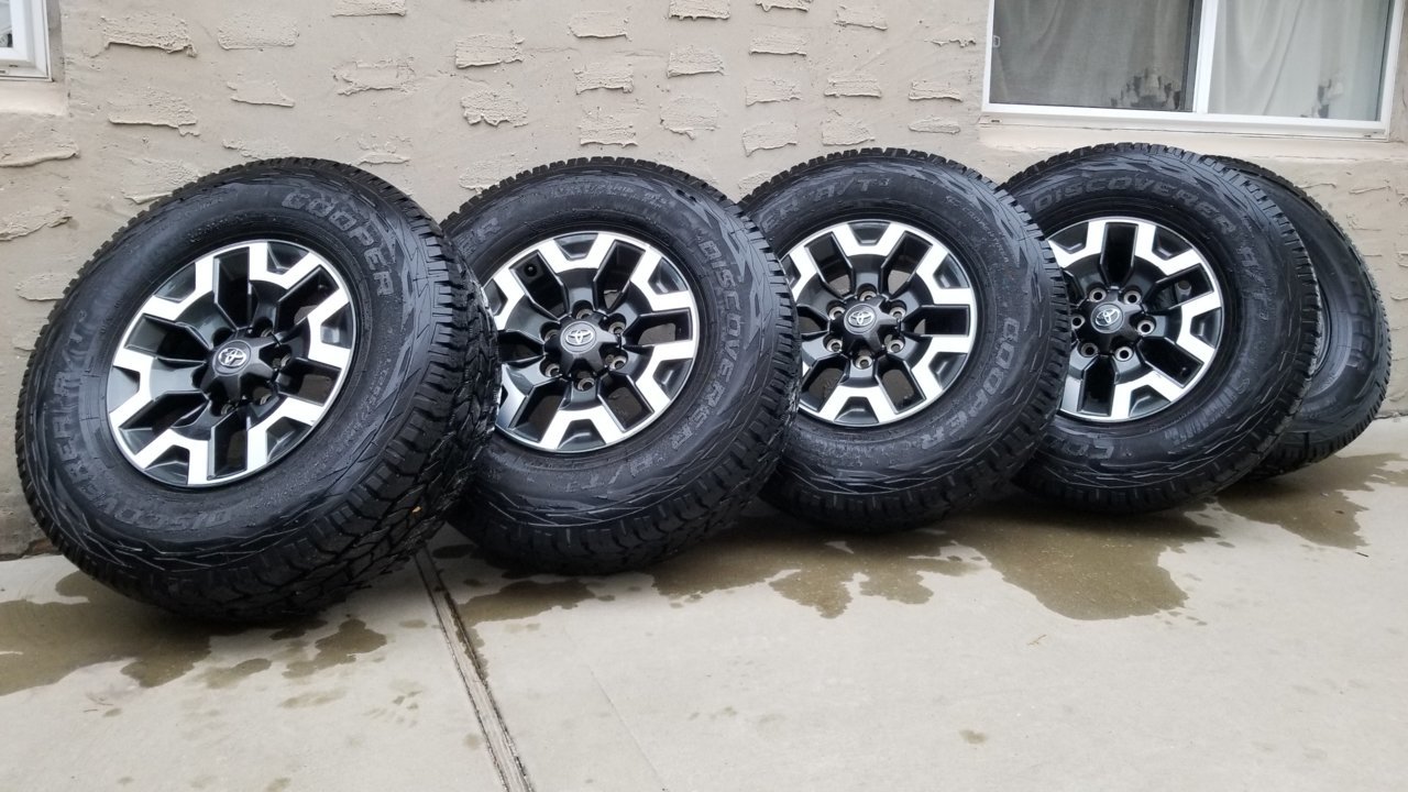 20190223_165918.jpg