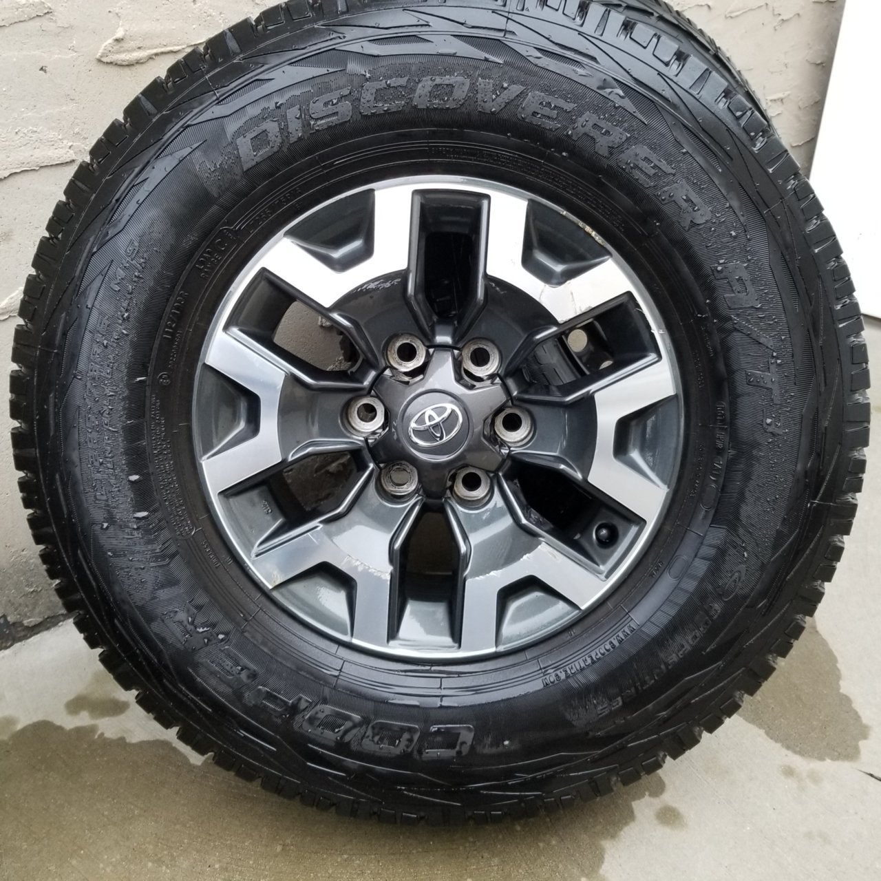 20190223_170041.jpg
