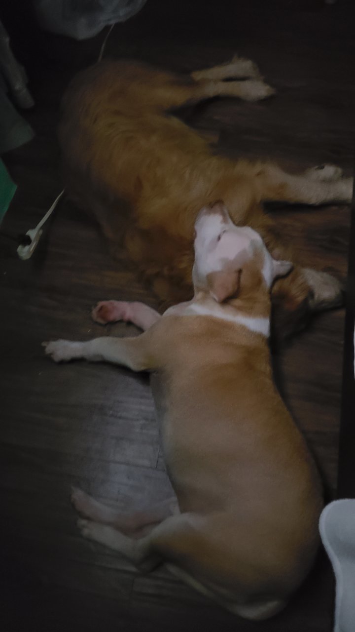 20190223_212035.jpg