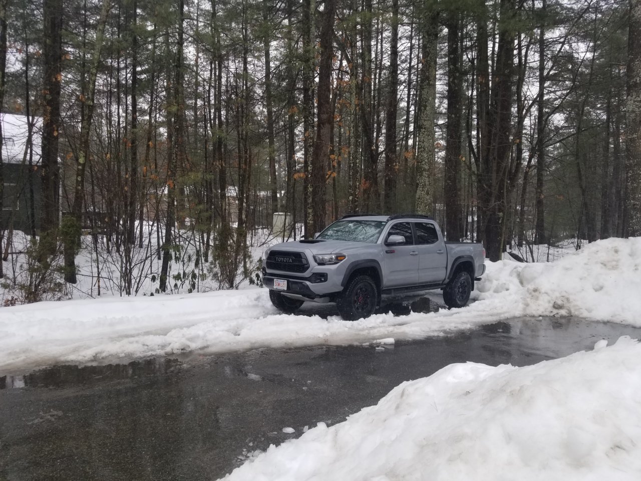 20190224_121608.jpg