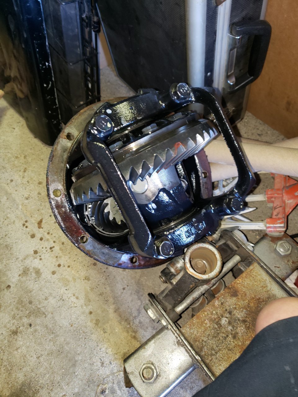 20190224_130947.jpg