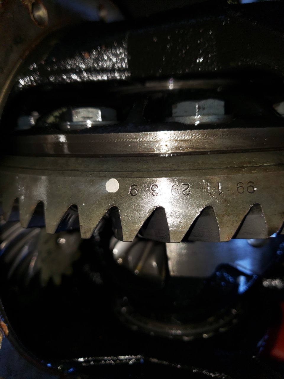 20190224_130955.jpg