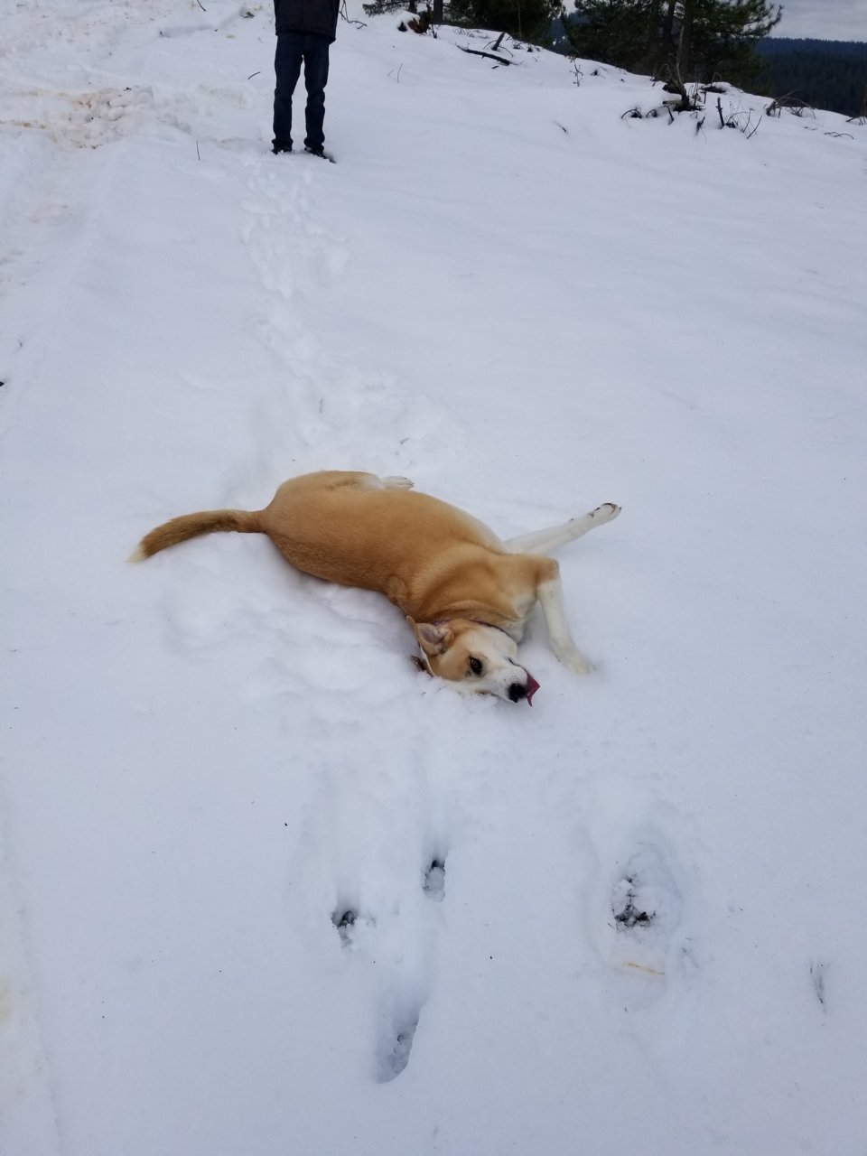 20190224_134057.jpg