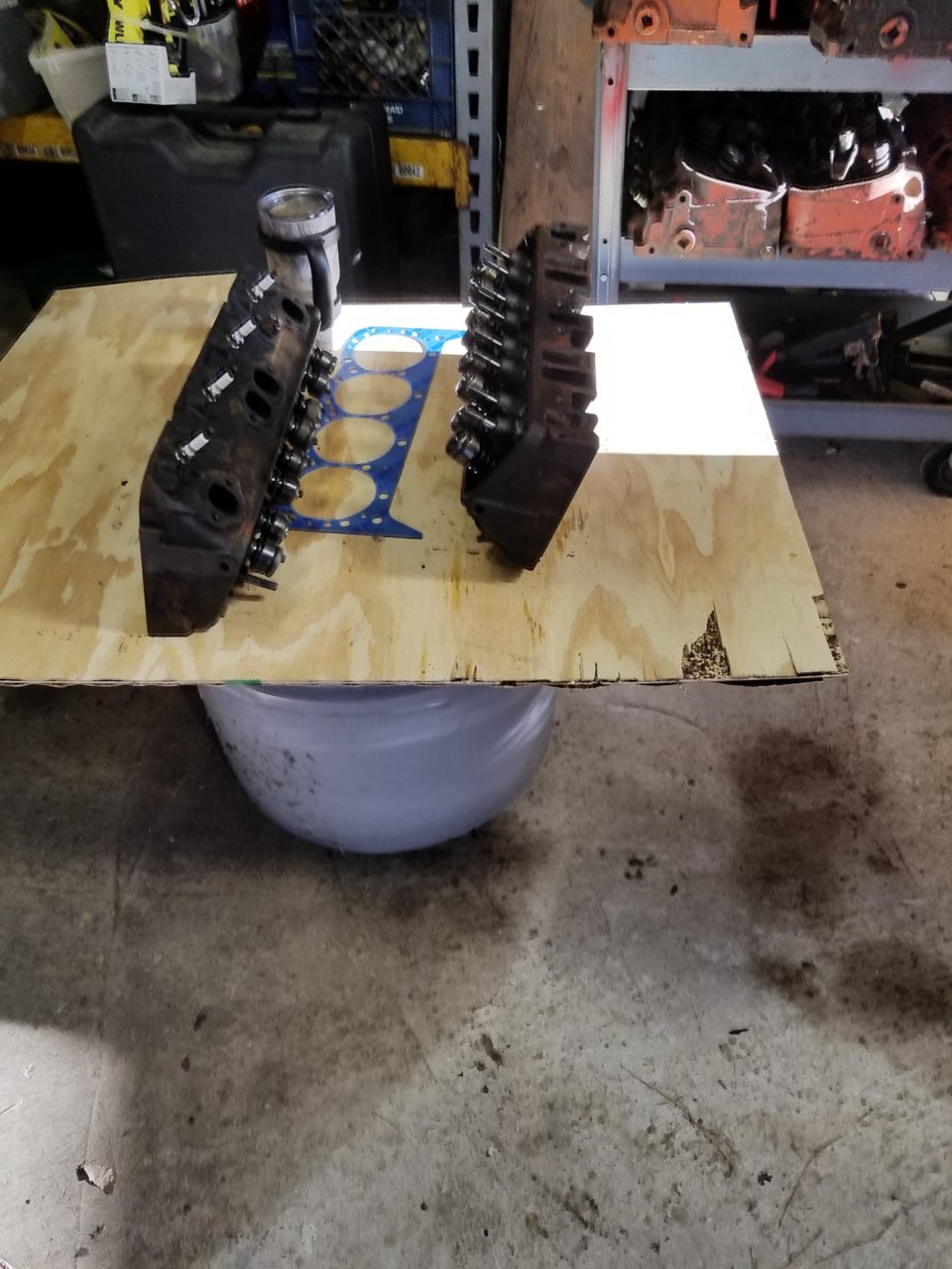 20190224_161954.jpg