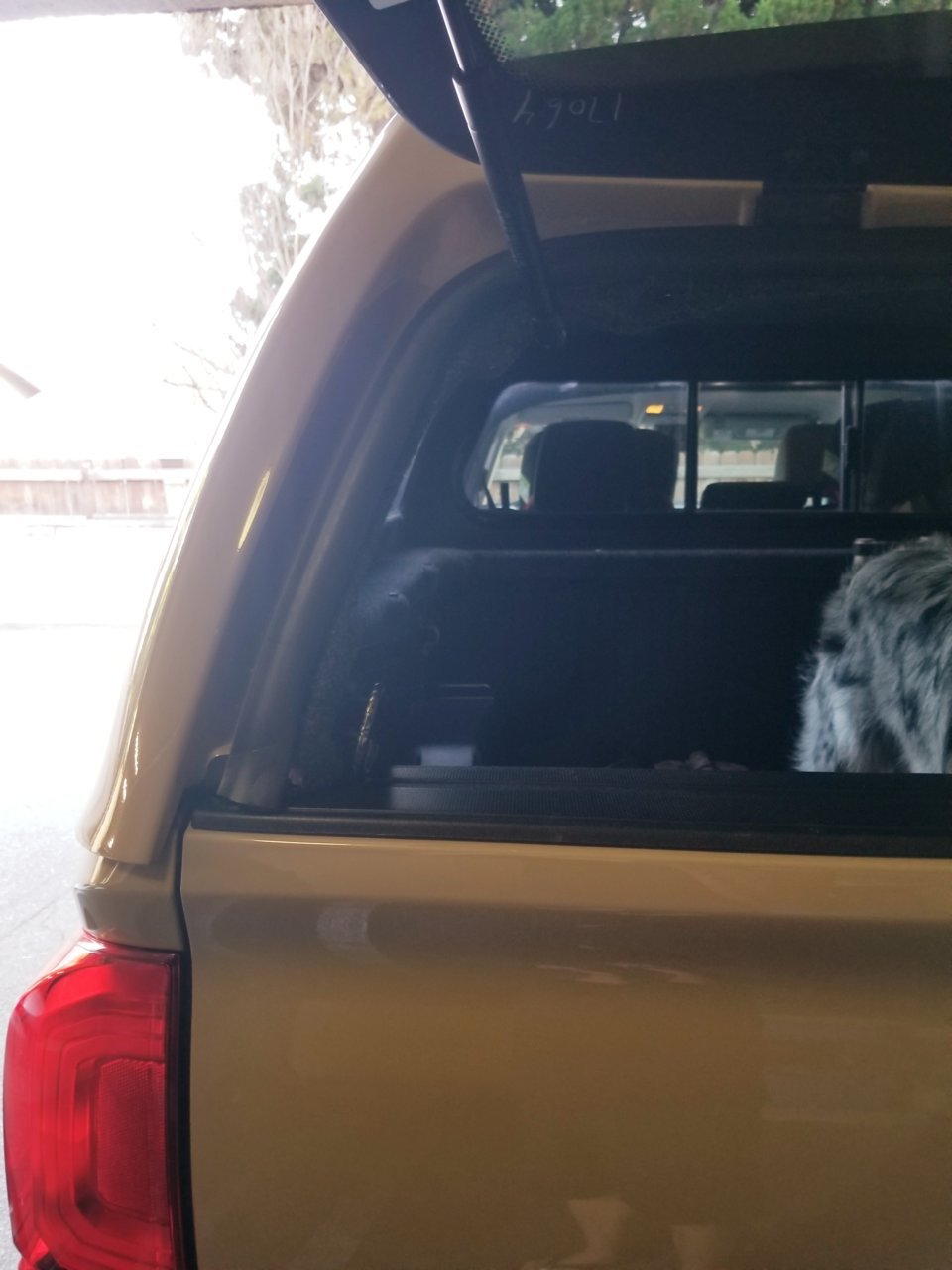 20190224_170903.jpg