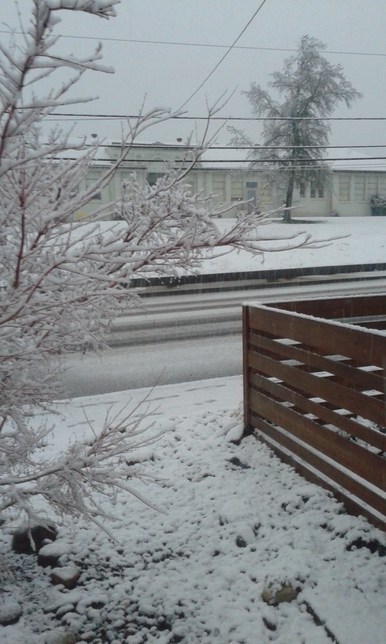 20190224_175017.jpg