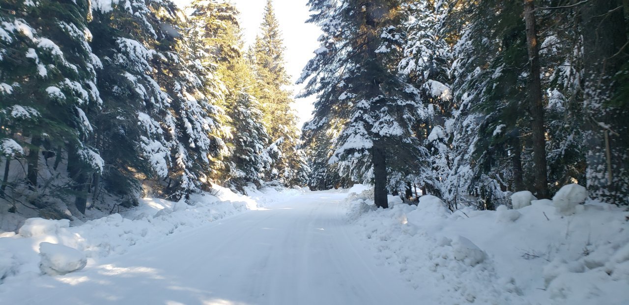 20190225_140913.jpg
