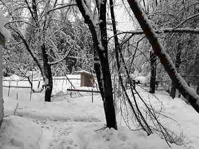 20190226_070616_opt.jpg