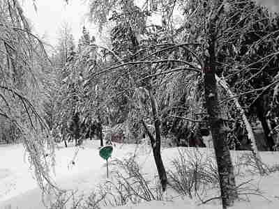 20190226_070627_opt.jpg