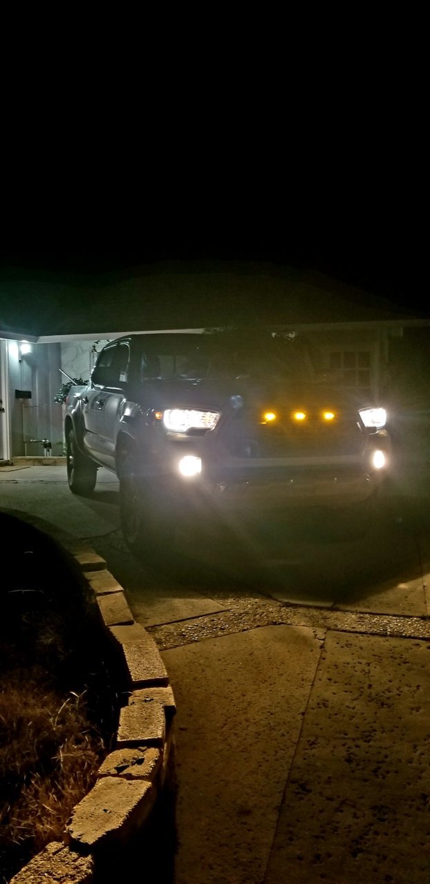 20190226_094428.jpg