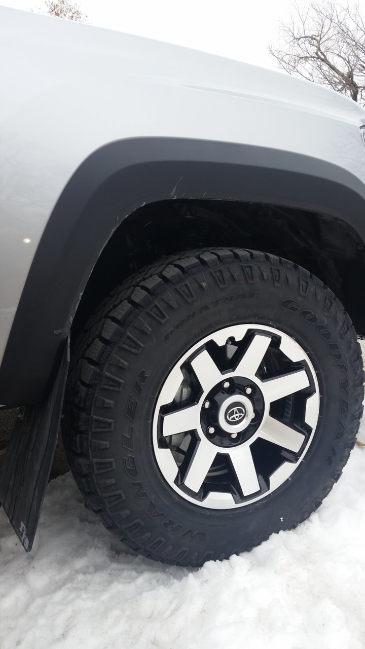 20190226_095709.jpg