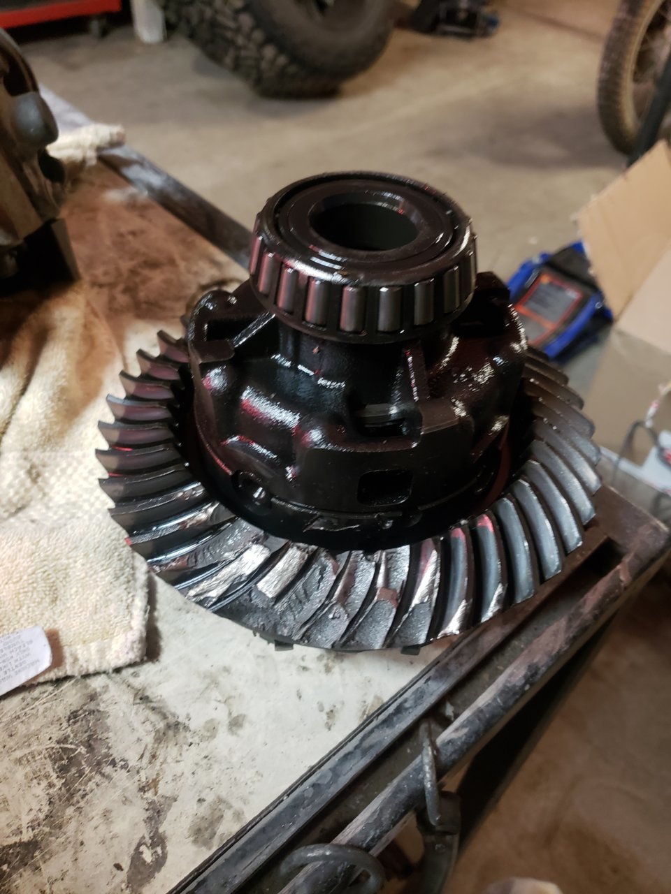 20190226_170942.jpg