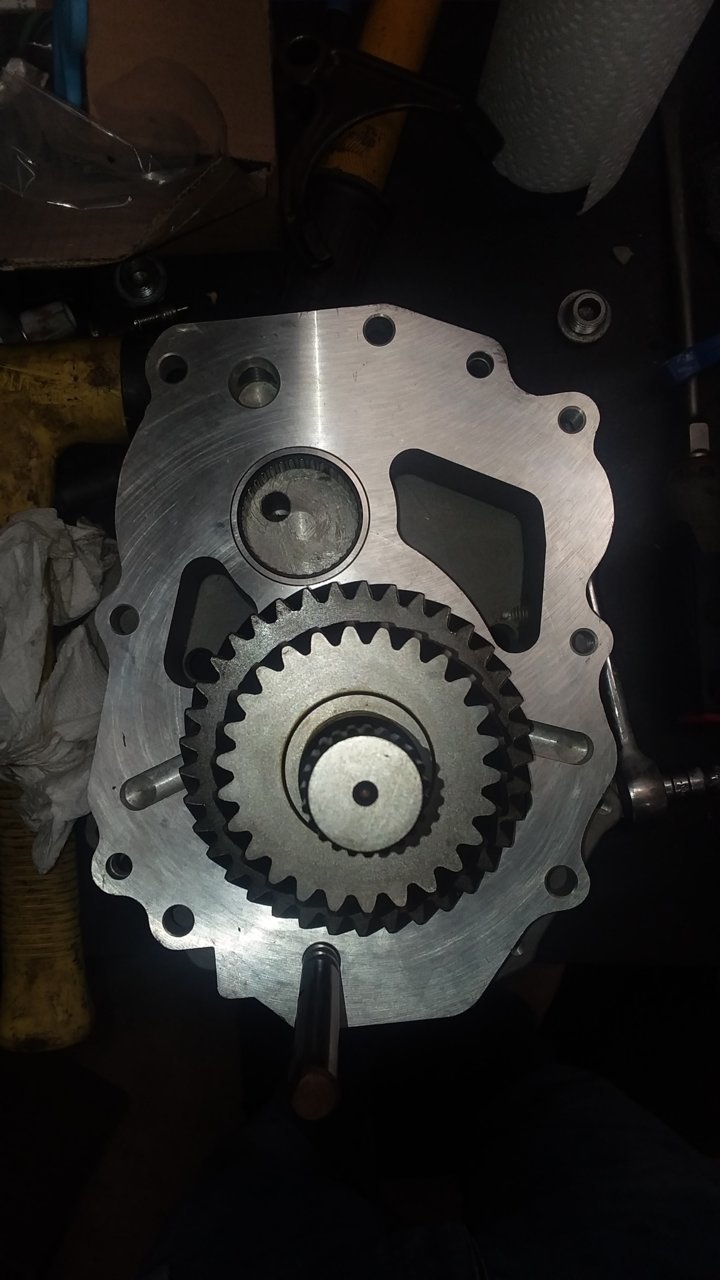 20190227_052933.jpg