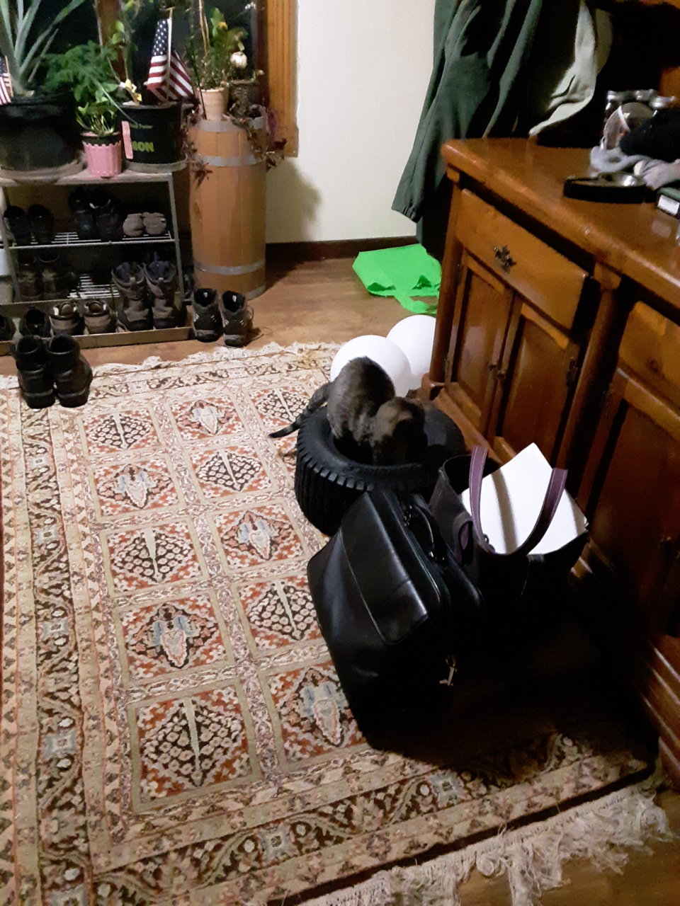 20190227_213055.jpg