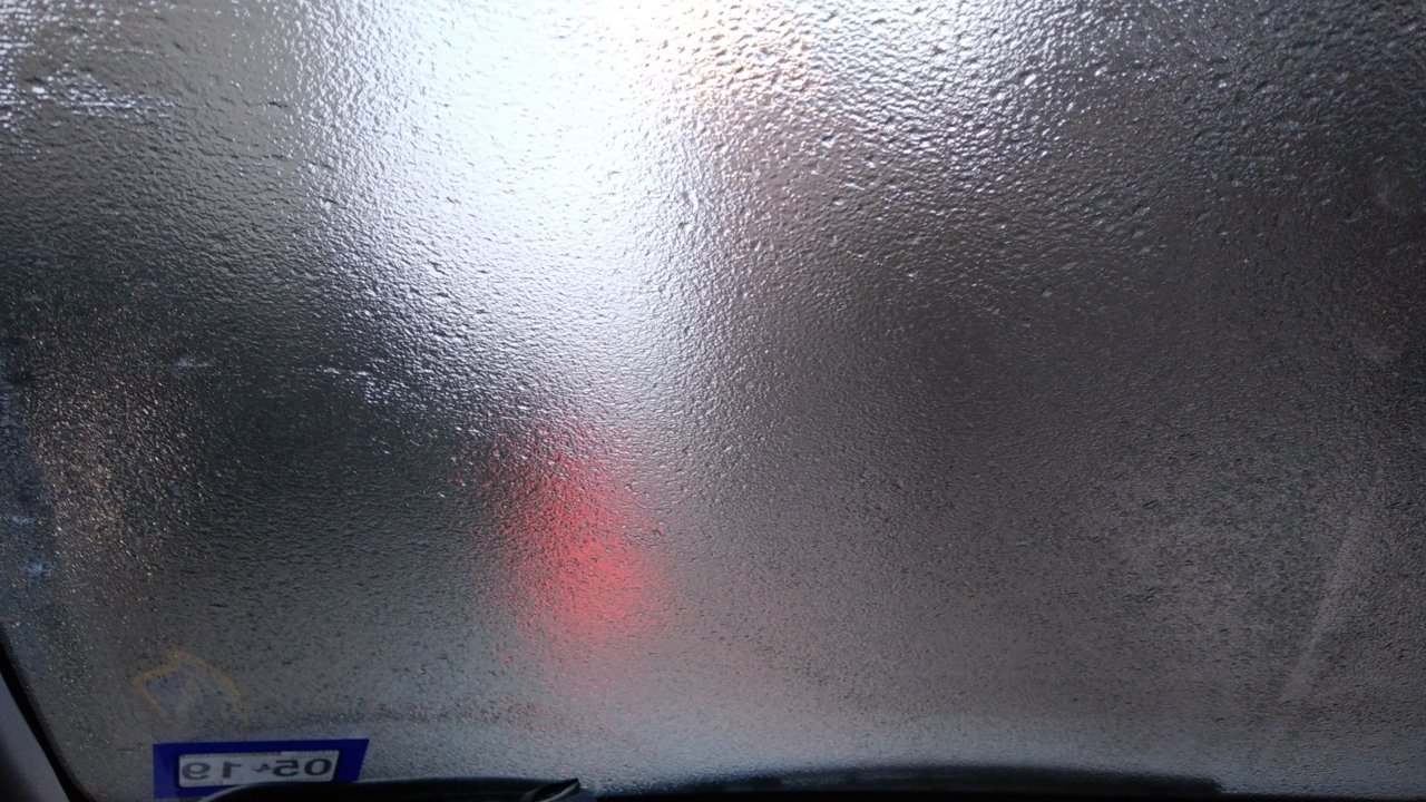 20190228_071247.jpg