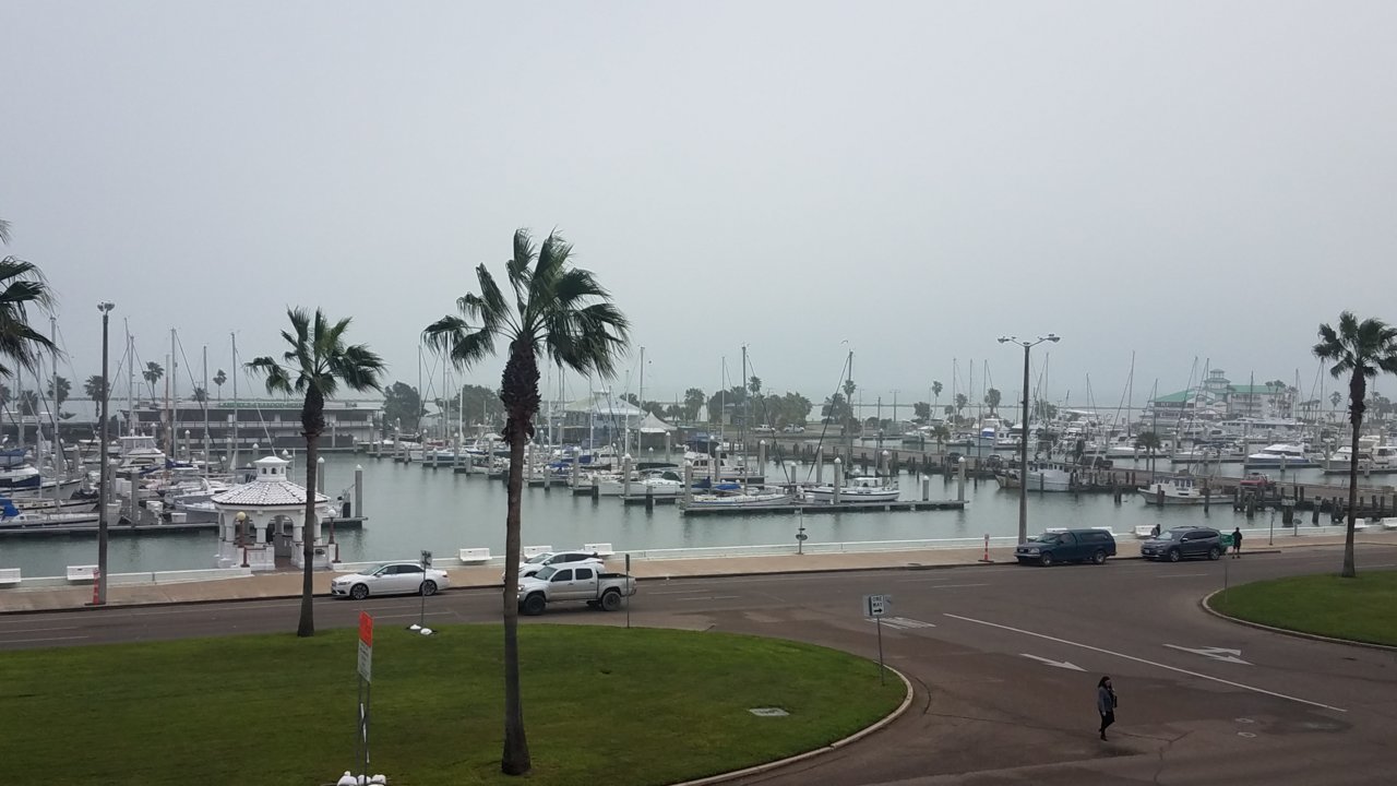 20190301_082528.jpg