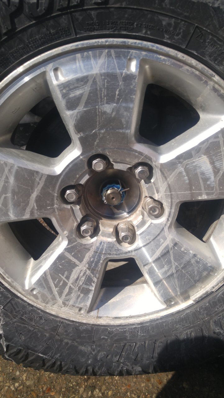 20190301_121927.jpg