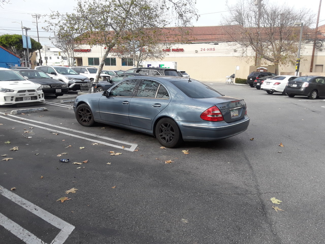 20190301_152637.jpg