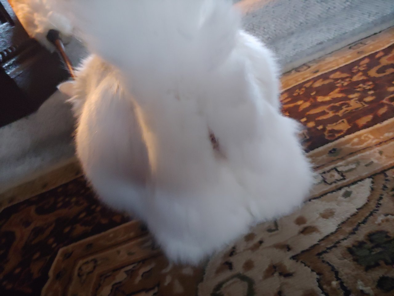 20190301_170800.jpg