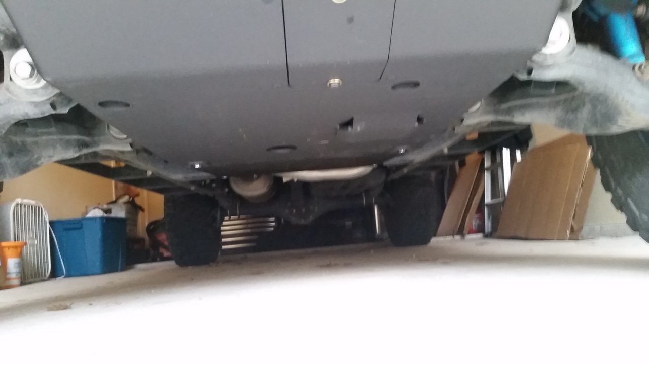 20190301_174915.jpg