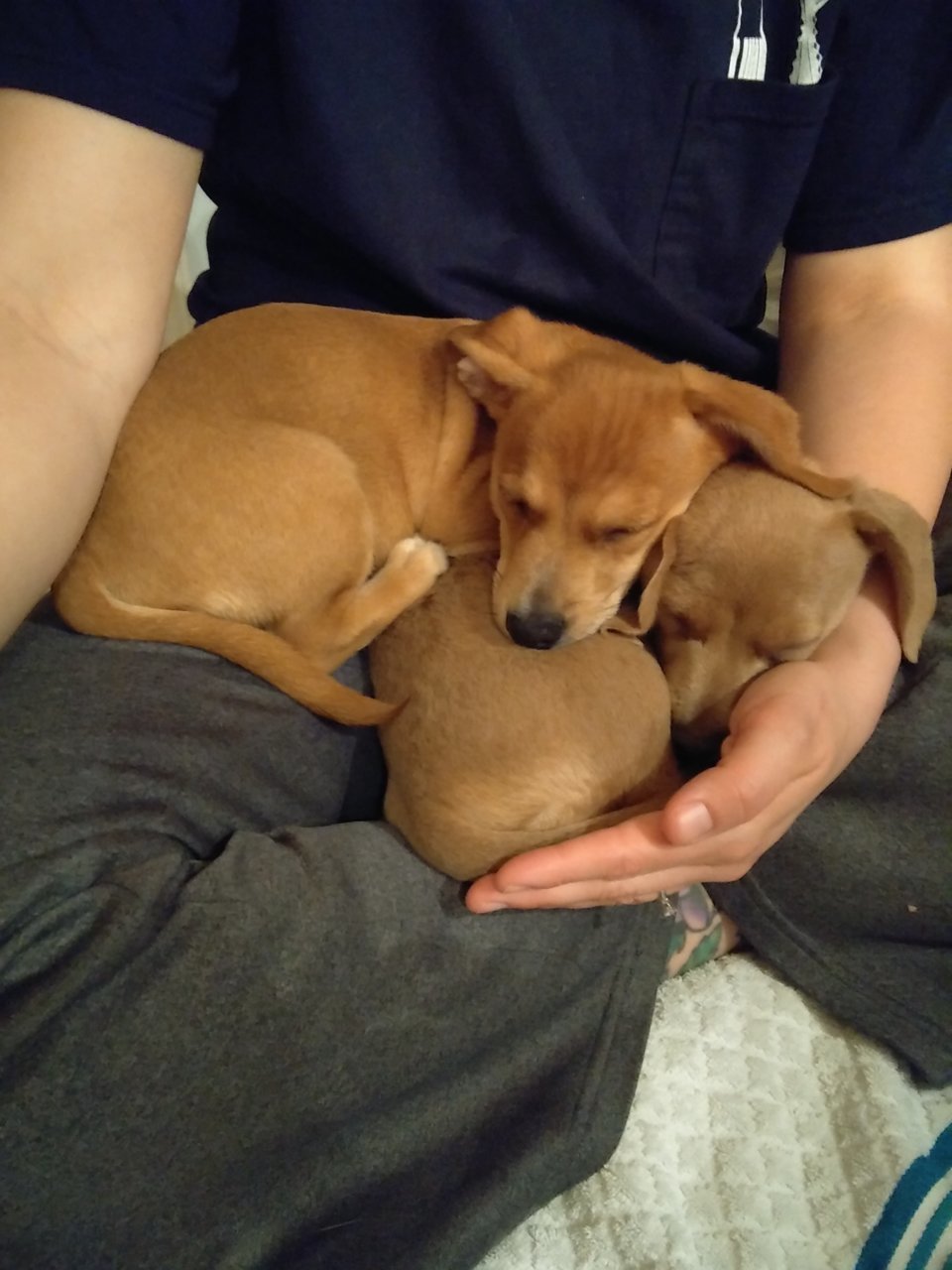 20190301_213224.jpg