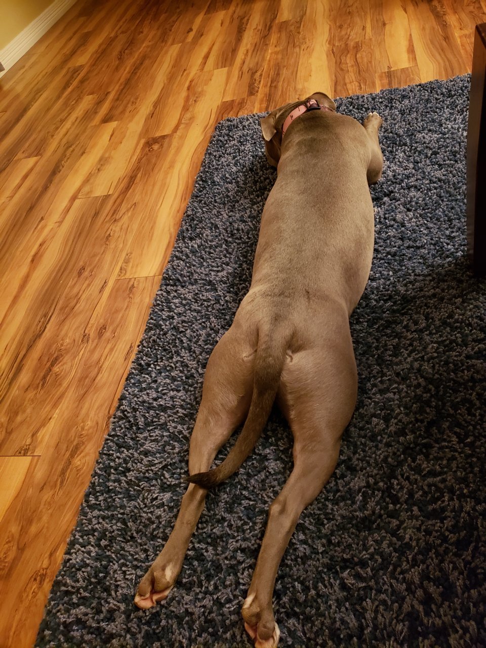 20190301_220907.jpg