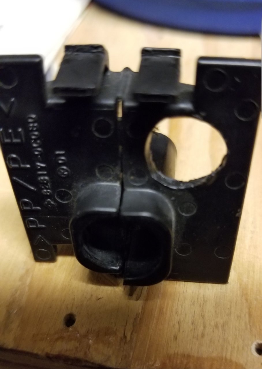 20190302_001552.jpg