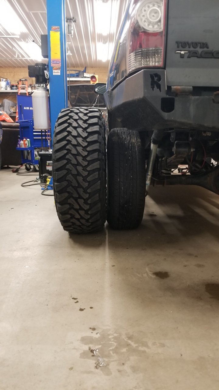 20190302_022447.jpg