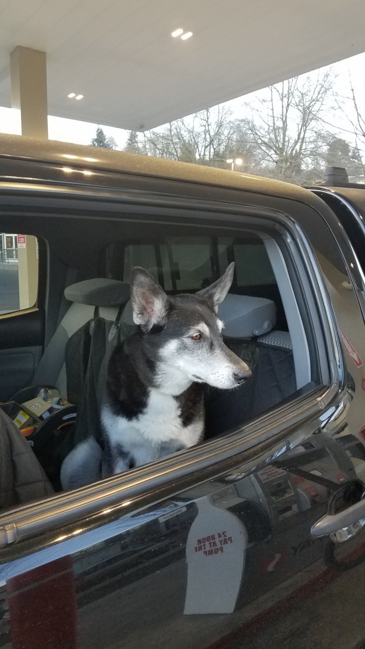 20190302_070221.jpg