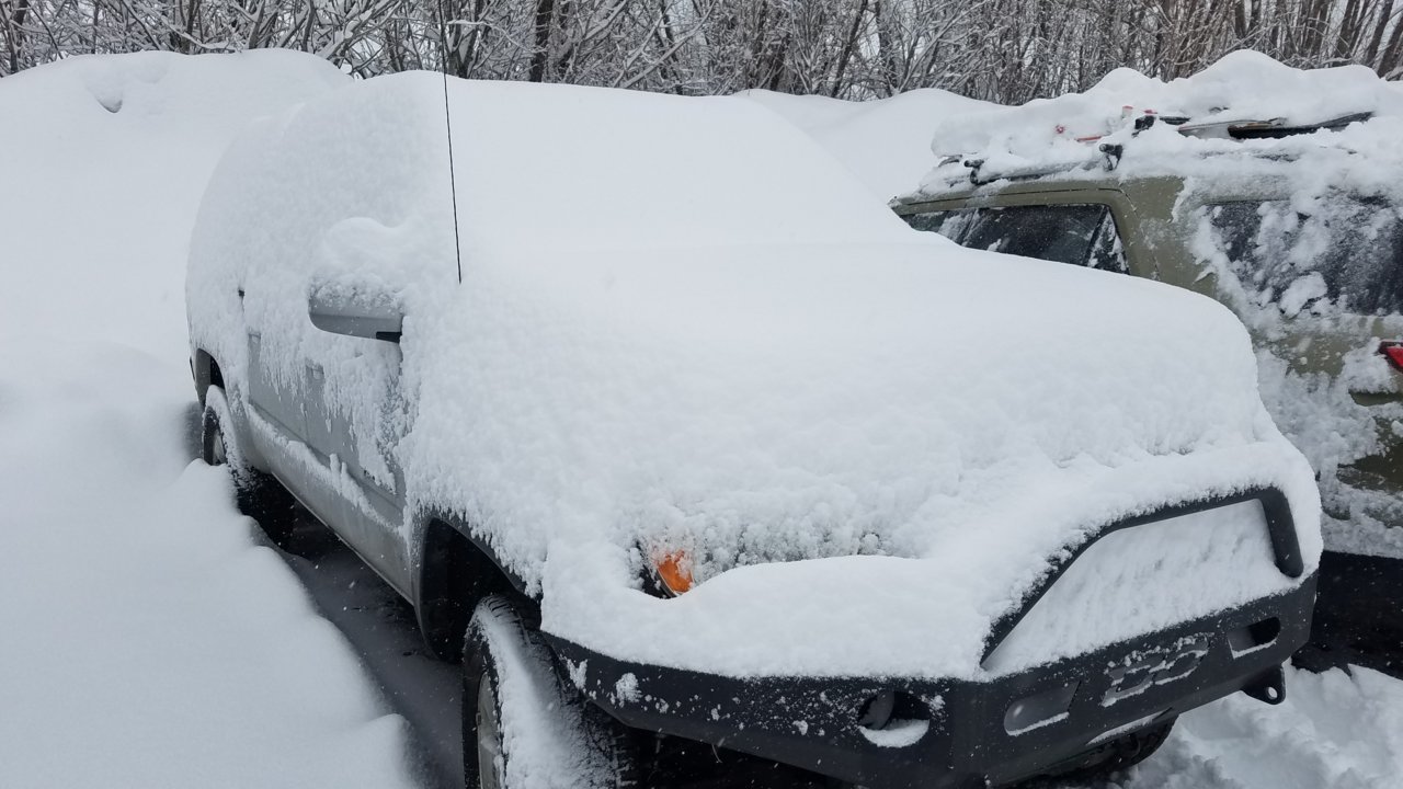 20190302_074637.jpg