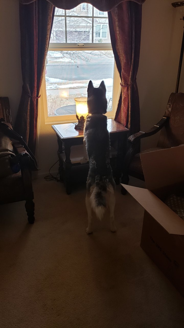 20190302_101140.jpg