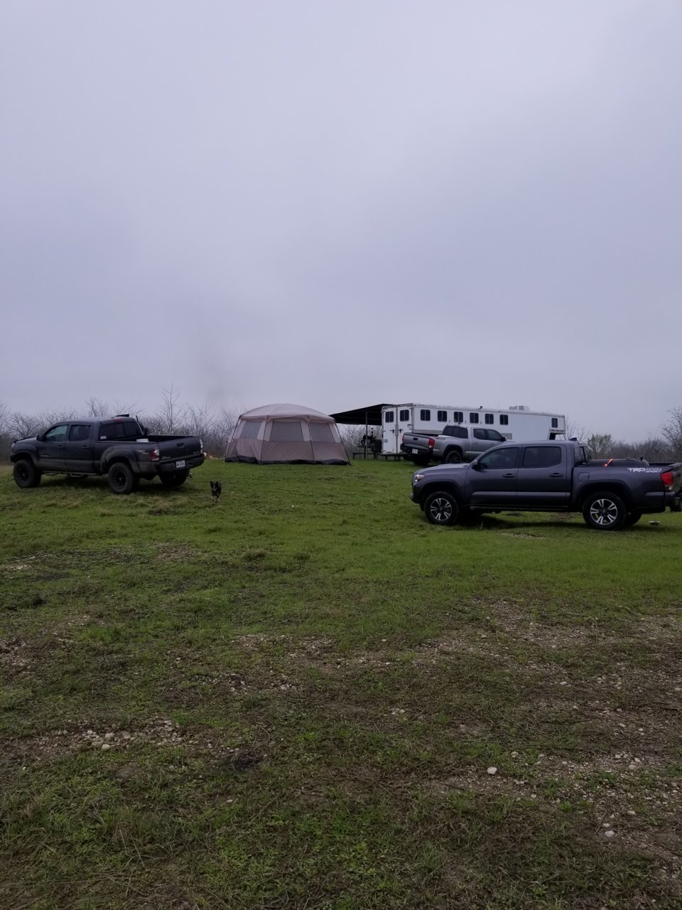 20190302_104439.jpg