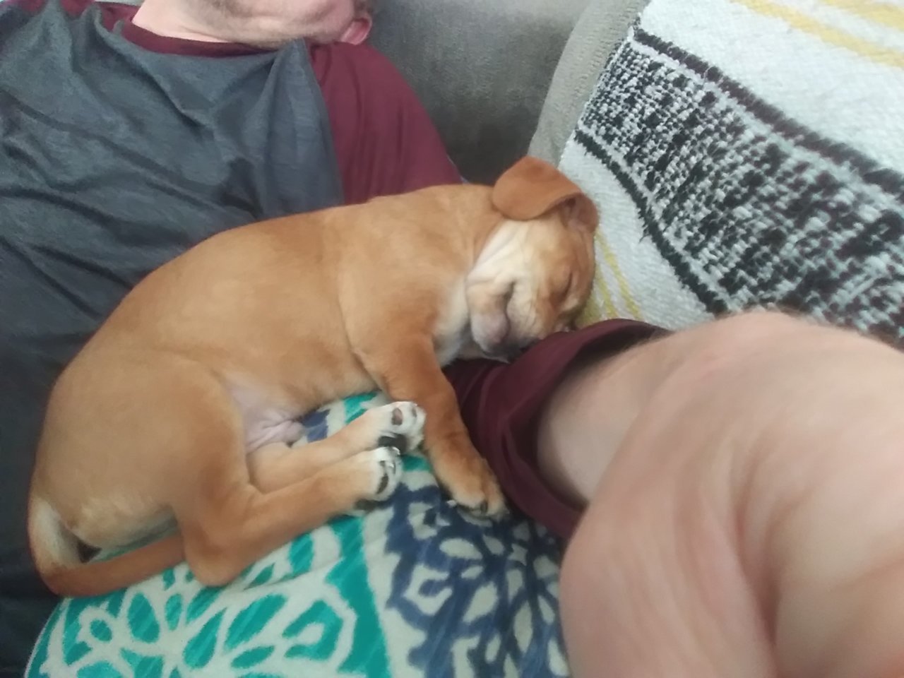 20190302_121623.jpg