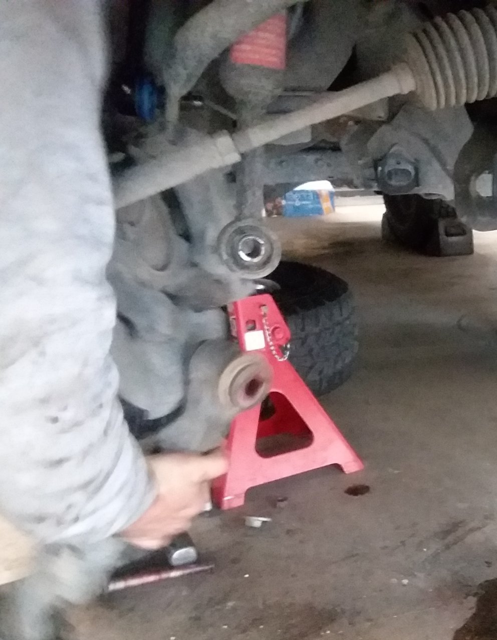 20190302_143918.jpg