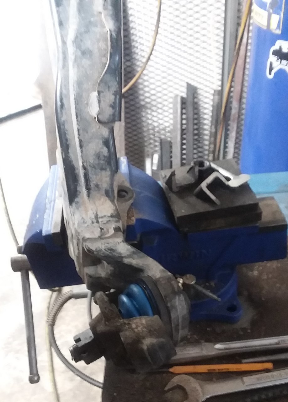 20190302_145636.jpg