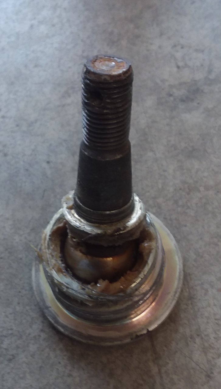 20190302_153749.jpg