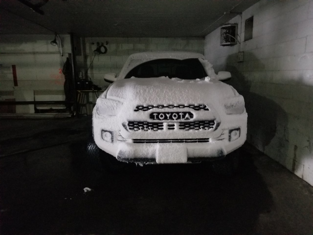 20190302_154907.jpg