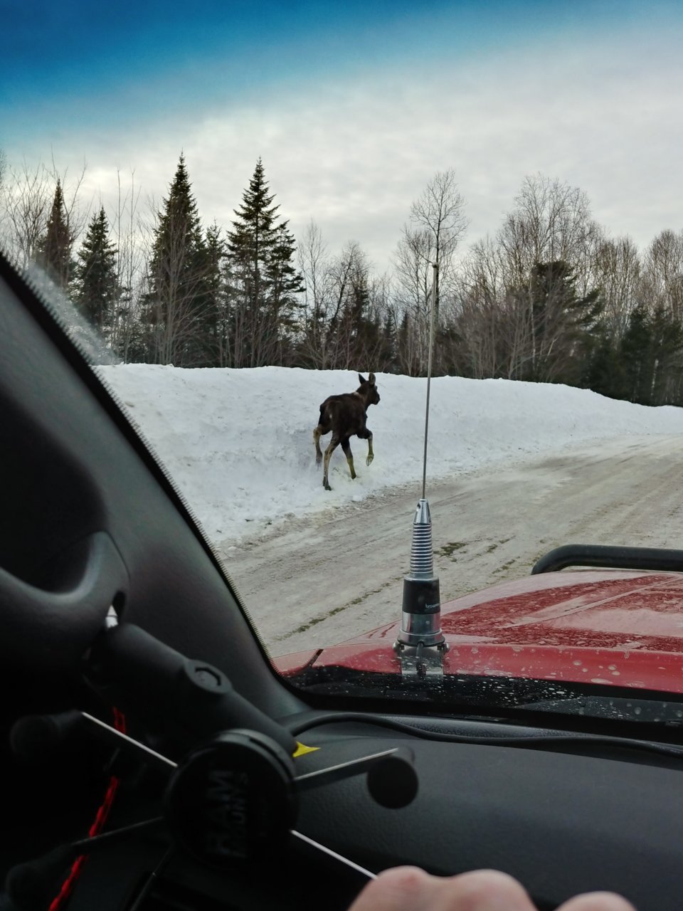 20190302_155151_HDR.jpg